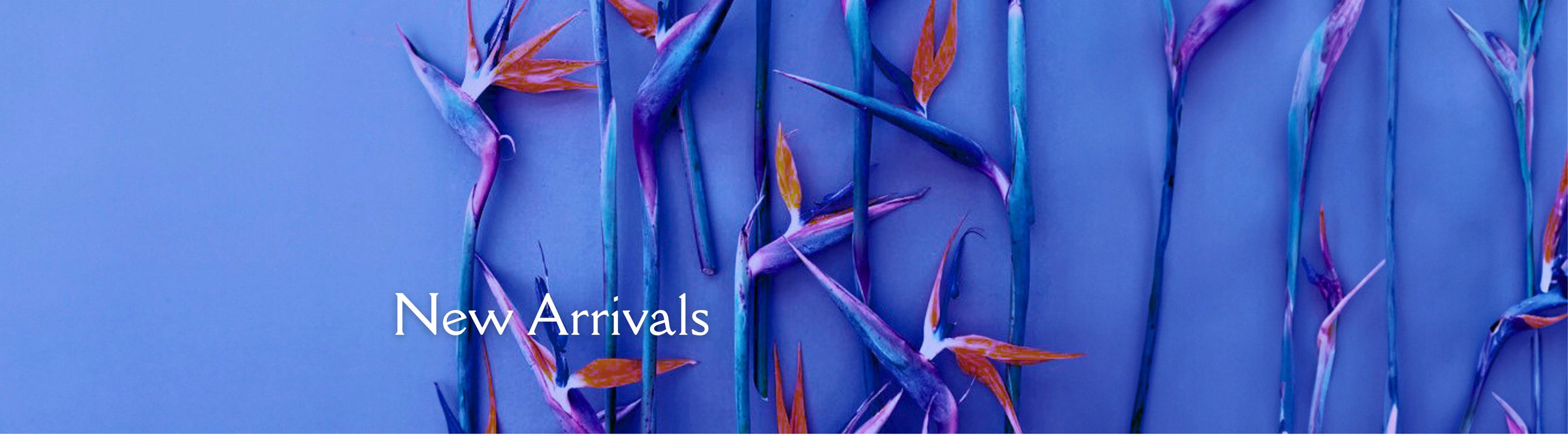 new arrivals banner image