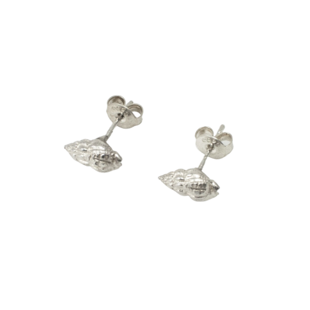 Whelk Shell Stud Earrings