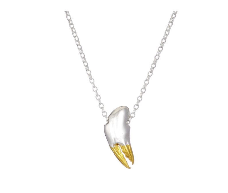 The Crab Claw Necklace Medium by Jennifer Kinnear showcases a delicate silver chain adorned with a metallic pendant that resembles a tooth, with its lower half elegantly dipped in gold. This design combines a smooth, shiny finish with the unique shape of a natural tooth, embodying elegance and distinctiveness.