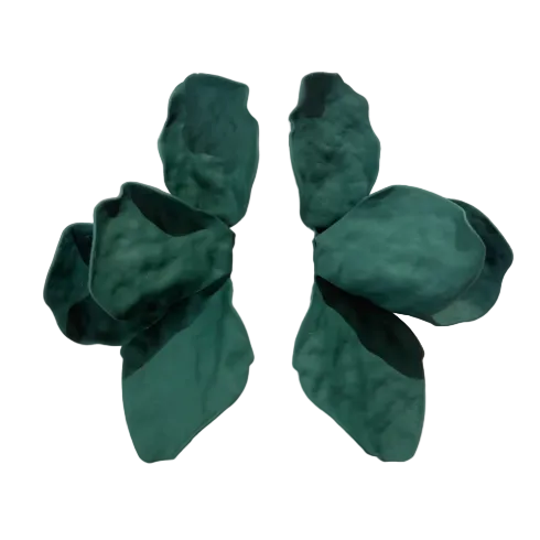 Two sculpted, dark green ceramic forms evoke the Bougainvillea Earrings in various colours by Kybalion Jewellery—an artful statement piece casting soft shadows on a light wall.