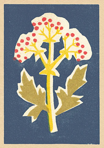 A stylized illustration of a flower with several small red berries clustered at the top, yellow stems, and green leaves. The flower is set against a solid navy blue background, with a beige border around the entire image. The 'Charm' card by Card Boutique is blank inside and comes with an envelope, cello wrapped for protection.