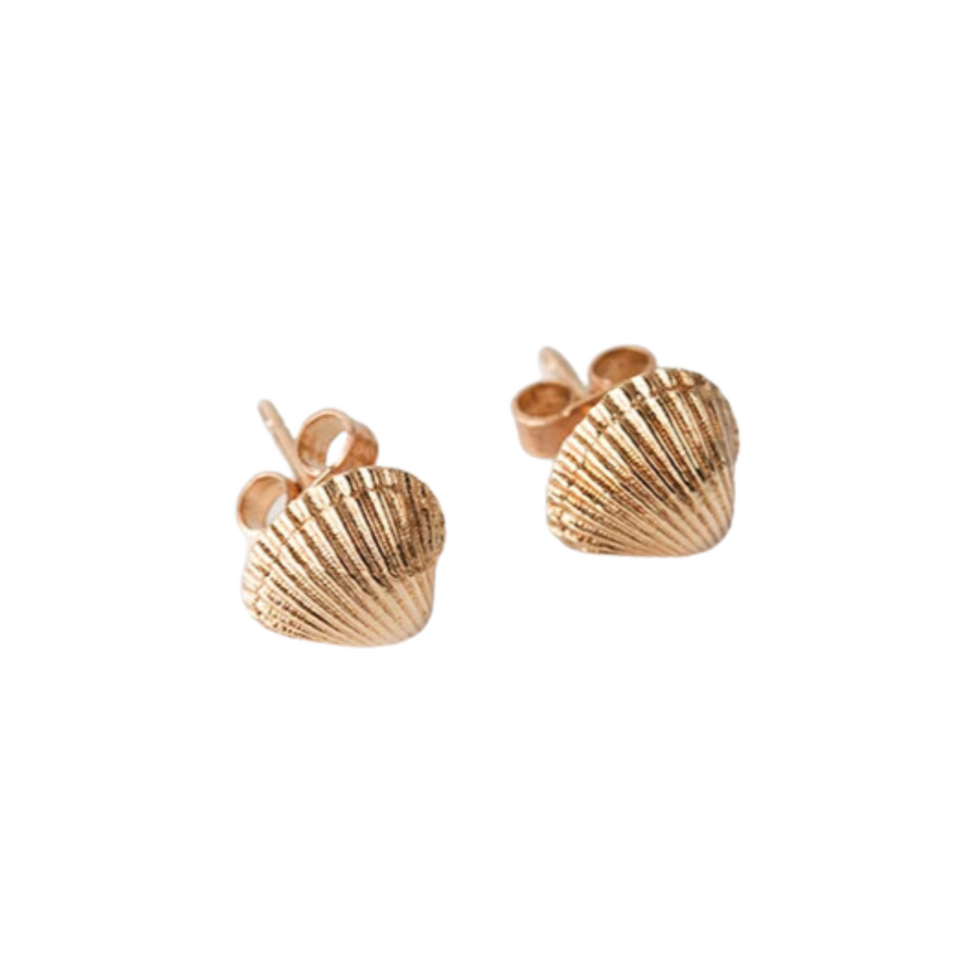 Tiny Cockle Shell Stud Earrings