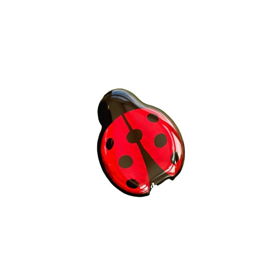 An image of a Naoi Ladybird Pin Brooch. The brooch has a shiny red body with black spots and a black head, designed to resemble a cartoon-like, hand-painted ladybird. It appears neatly crafted and isolated against a plain white background.