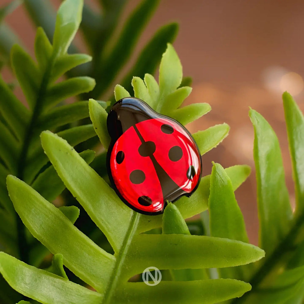 A vibrant red ladybug with black spots rests on lush green fern leaves, reminiscent of a hand painted Ladybird Pin Brooch by Naoi. The background is softly blurred, emphasizing the details of the leaves and the ladybug. The overall image evokes a sense of nature and serenity.