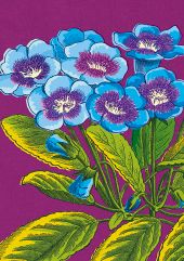 'Purple Primroses' Flower Card