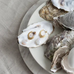 The Strata Thin Earrings with Pearl by Inner Island, featuring gold hoops and freshwater pearls, dangle from a white oyster shell amid other shells on a ceramic plate atop a soft fabric surface.