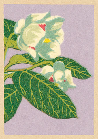 'Sweet Dreams' Flower Card
