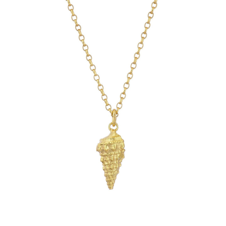 A gold necklace with a delicate chain features a detailed whelk shell pendant hanging from it, reminiscent of Menorca's natural beauty. The shell has a textured, ridged surface and points downward, showcasing a realistic design. The chain is simple, highlighting the intricate pendant. This is the **Whelk Shell Necklace** by **Jennifer Kinnear**.