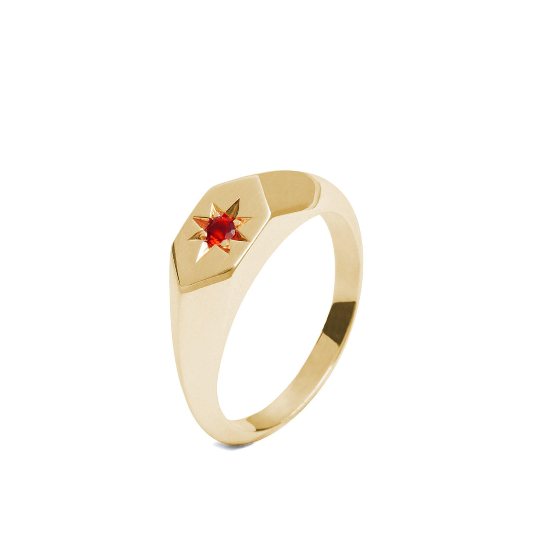 Starlight Mozambique Garnet Birthstone 9ct Yellow Gold Signet Ring - The Collective Dublin